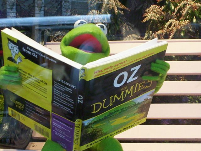 Kermit with a favorite book
